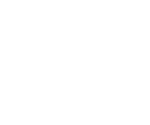 lipsindia logo white png